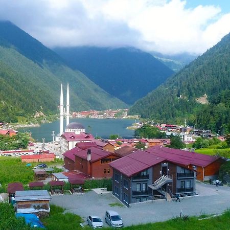 Anemo Suite Uzungöl Eksteriør bilde