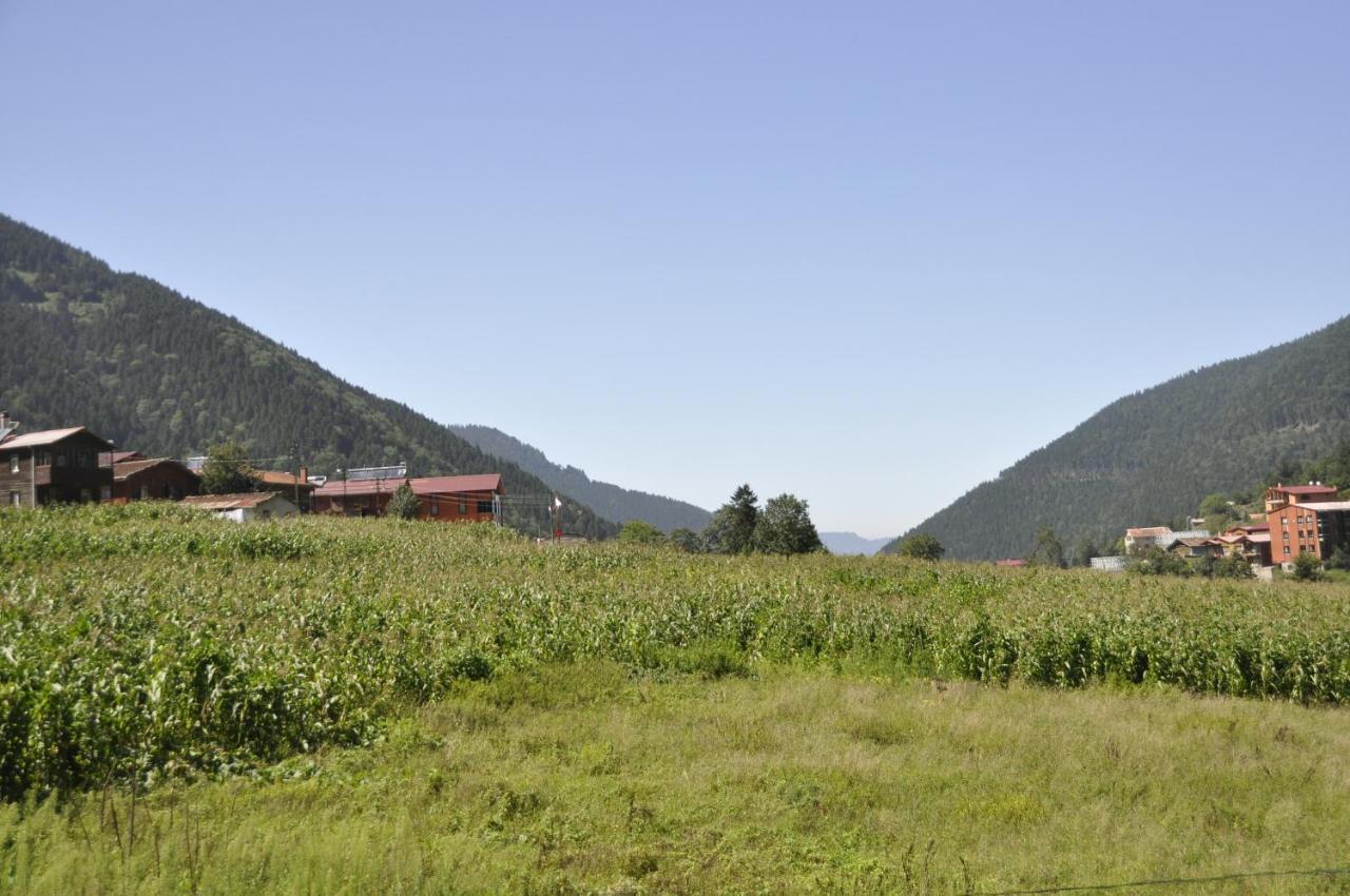 Anemo Suite Uzungöl Eksteriør bilde
